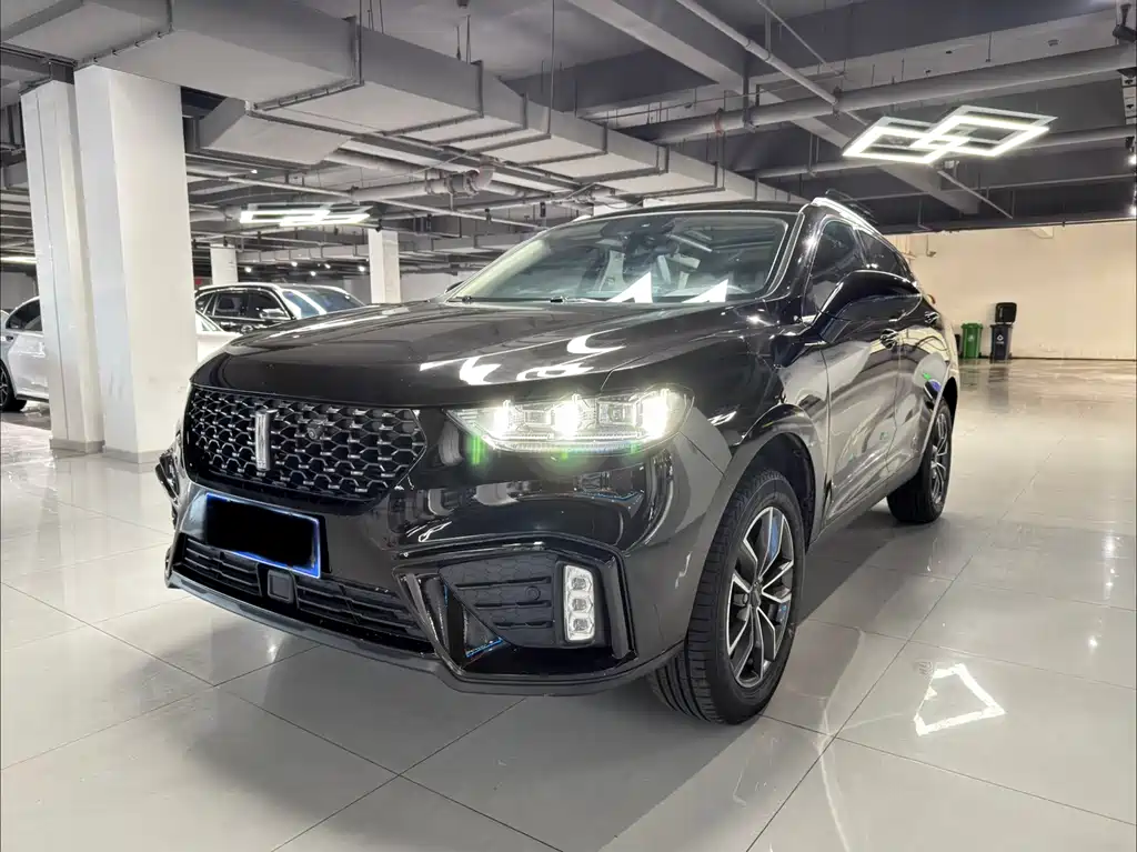 WEI PAI WEI BRAND VV5