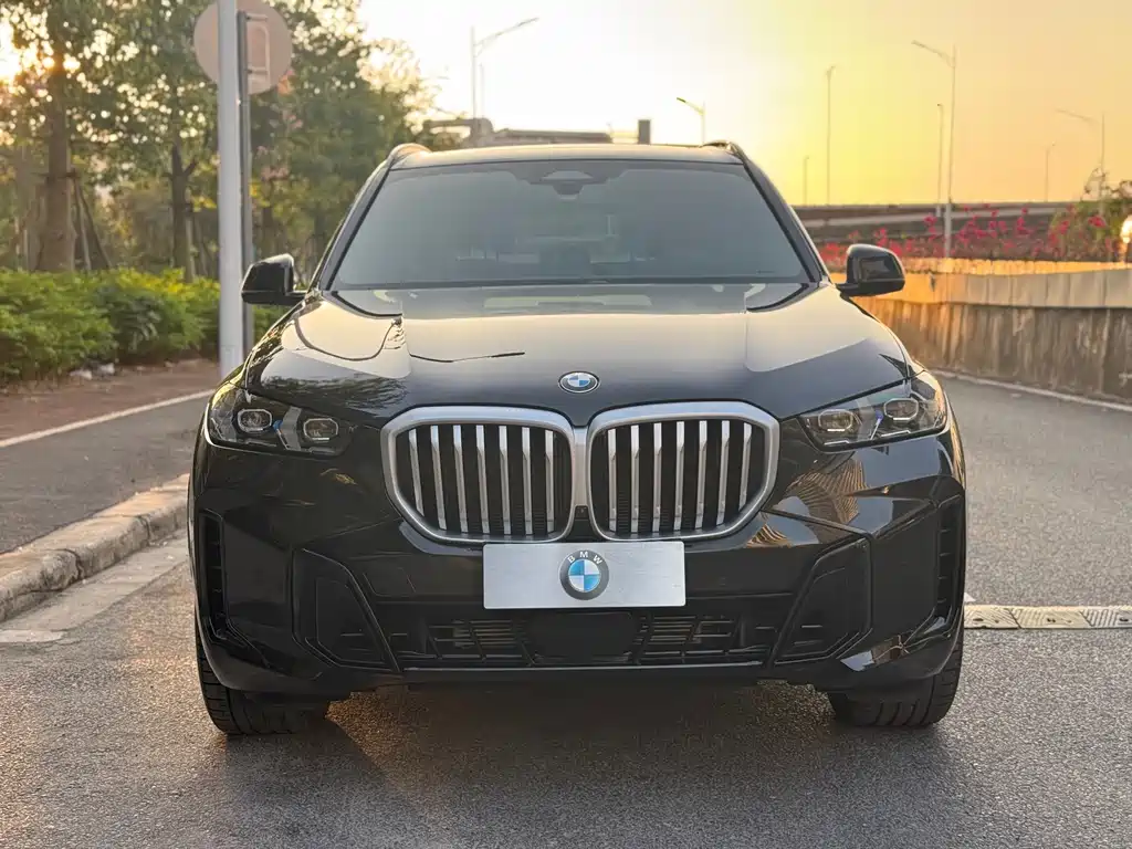BMW X5 — миниатюра 4