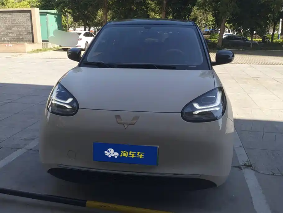Wuling Binguo 2025 333km
