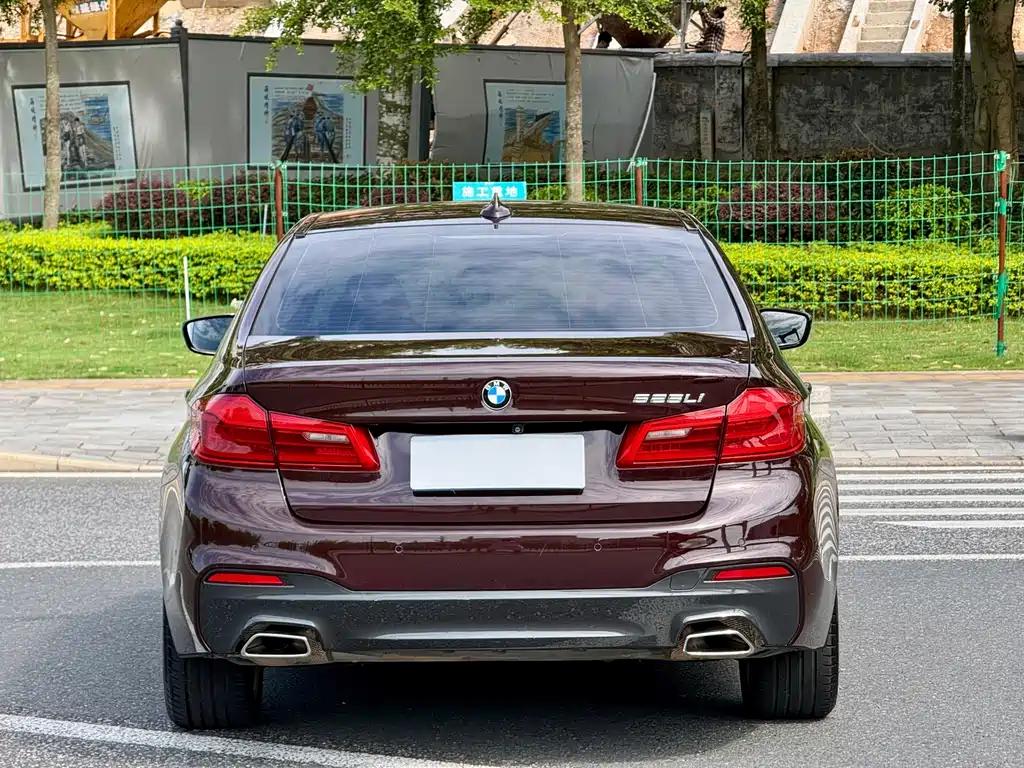 BMW 5 Series — миниатюра 5