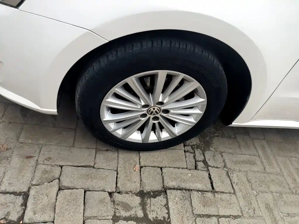 Volkswagen Gran Lavida — миниатюра 23
