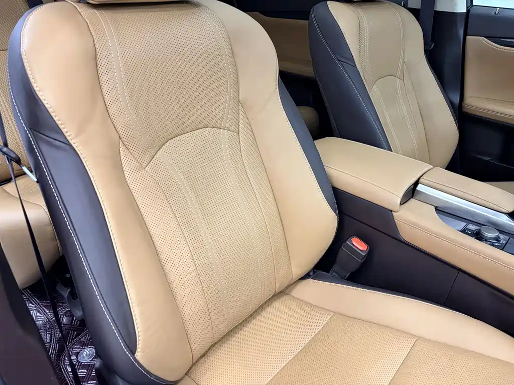 Lexus RX 300 4WD Elegant Edition China VI, фото 17
