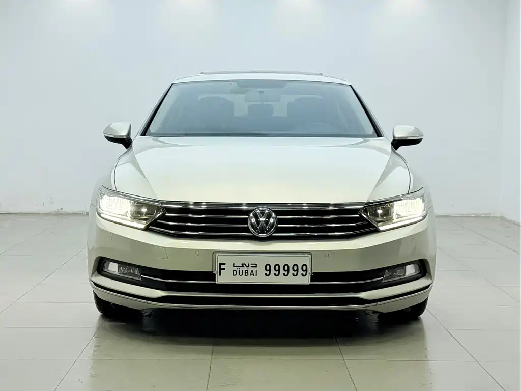 Volkswagen Magotan — миниатюра 2