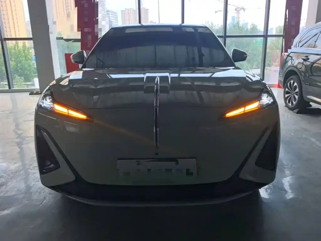 Hongqi Красный флаг Skyman 06 — миниатюра 3