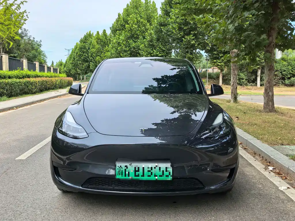 Tesla Model Y — миниатюра 2