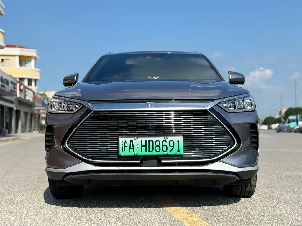 BYD PLUS New Energy — миниатюра 2