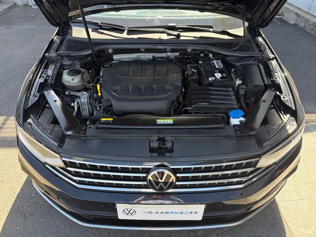 Volkswagen Magotan 2023 200 330TSI DSG Luxury