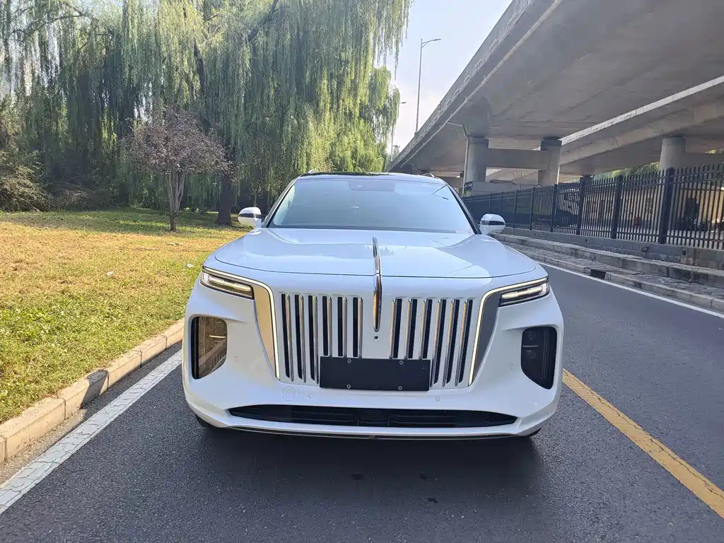 Hongqi Hongqi E-HS9 — миниатюра 2