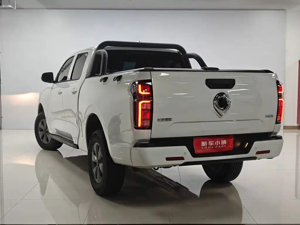Great Wall Pao — миниатюра 15