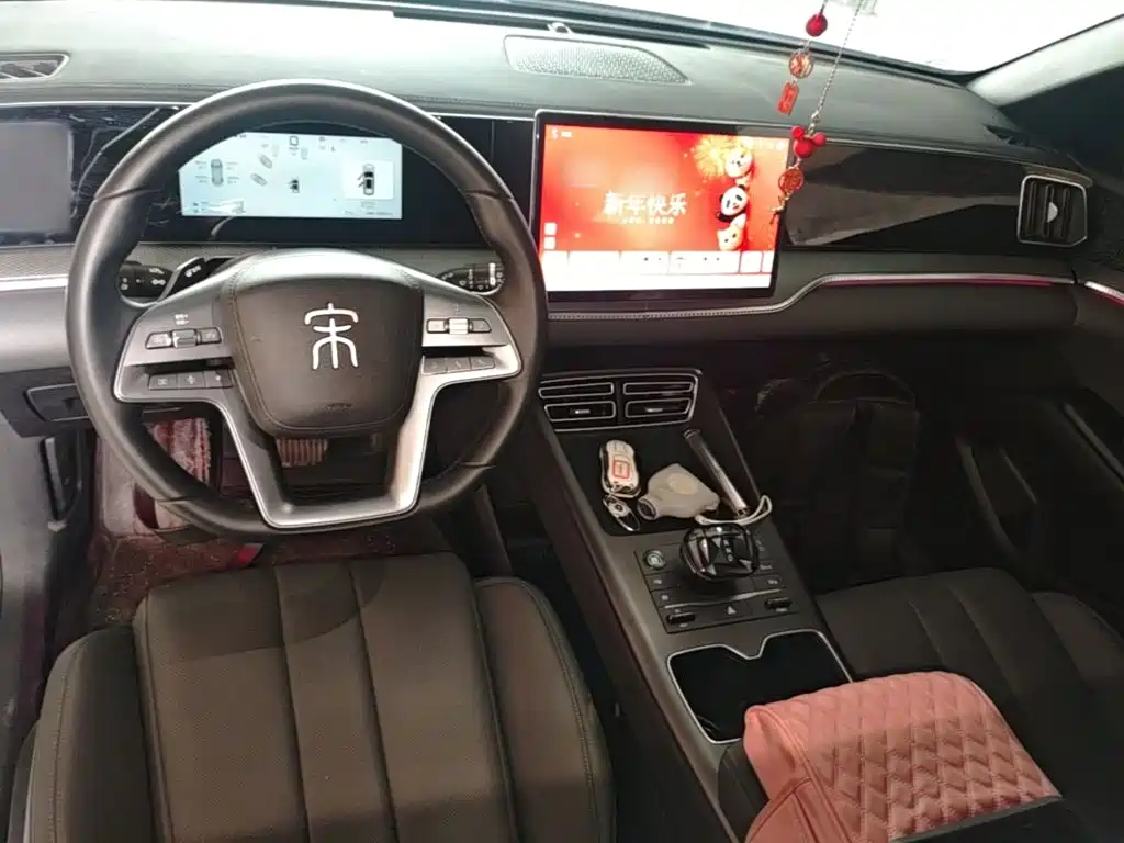 BYD Pro New Energy — миниатюра 10