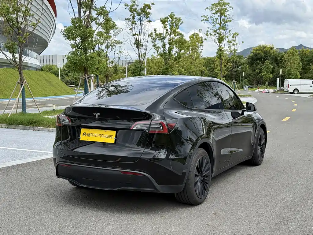 Tesla Model Y — миниатюра 12
