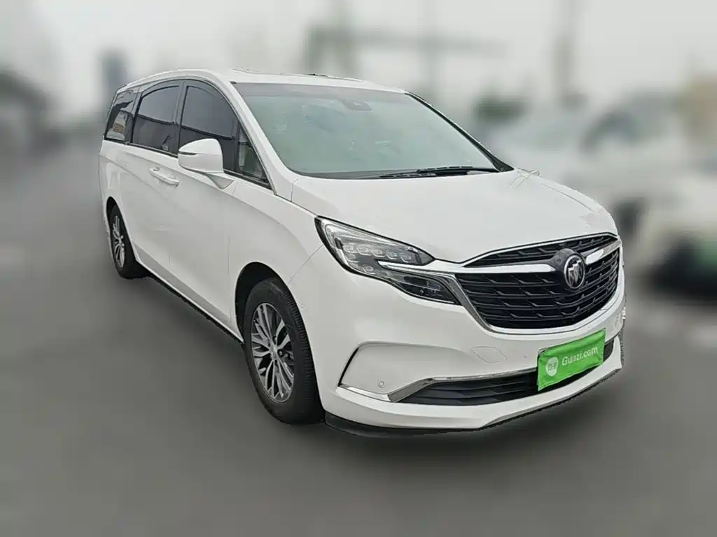 Buick GL8 — миниатюра 6