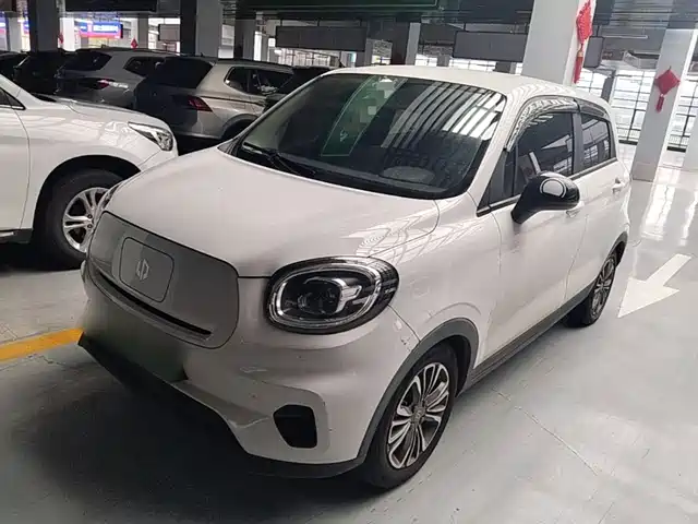 2021 Leapmotor T03