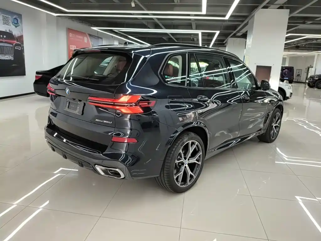 BMW X5 — миниатюра 7