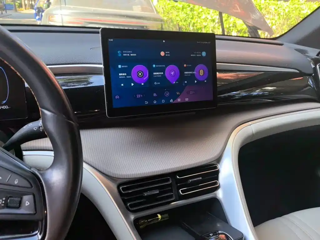 BYD Pro New Energy — миниатюра 14