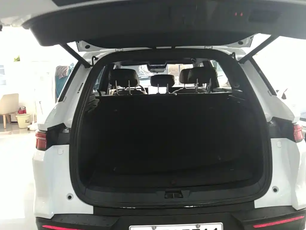 BYD Pro New Energy — миниатюра 19