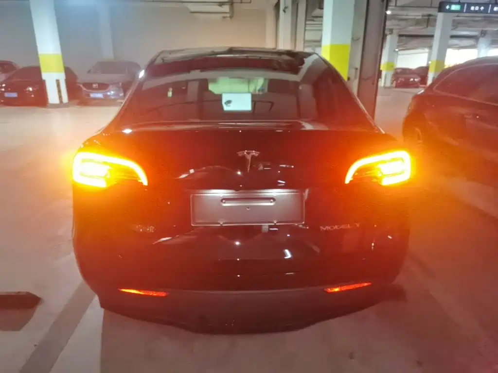 Tesla Model Y — миниатюра 6