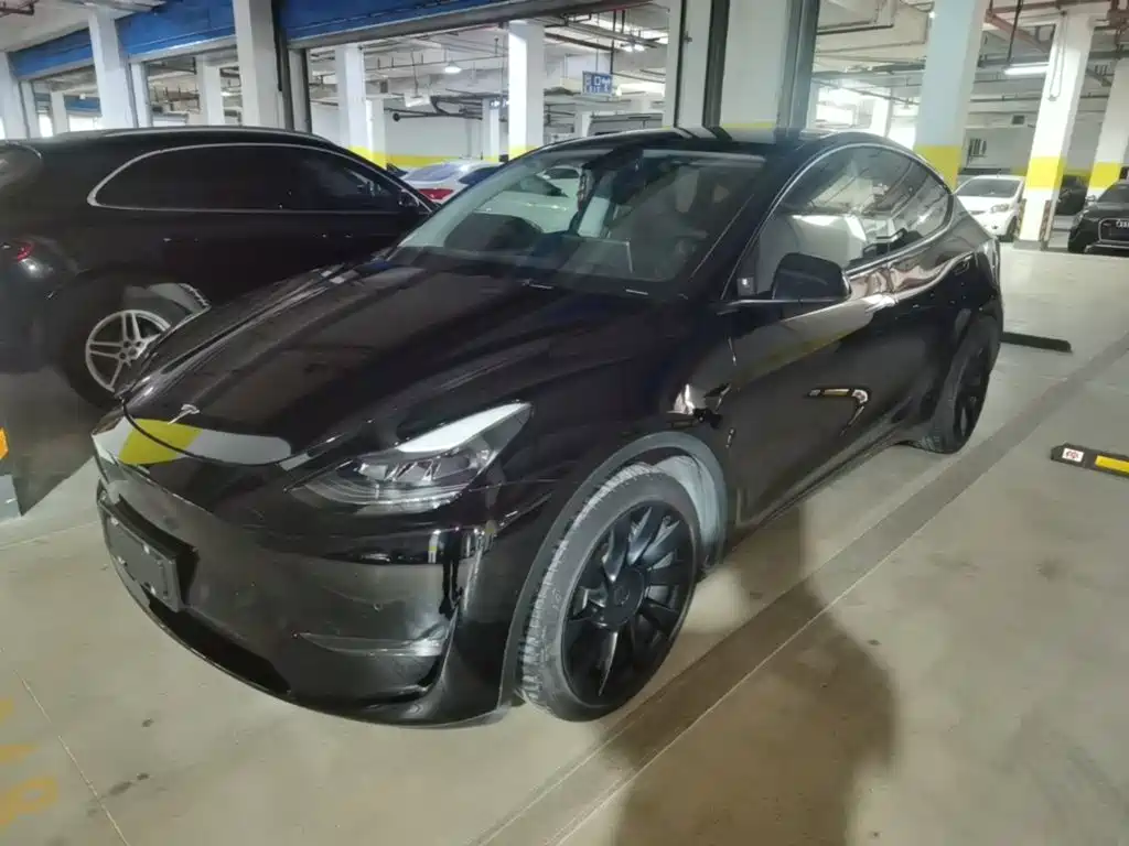 Tesla Model Y — миниатюра 2