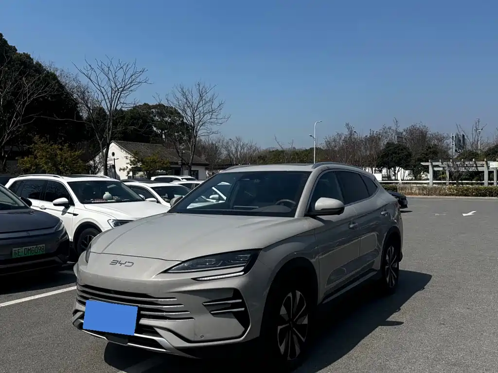 BYD SONGJIANG NEW ENERGY
