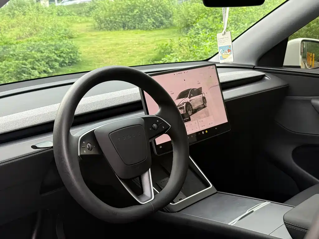 Tesla Model Y — миниатюра 4