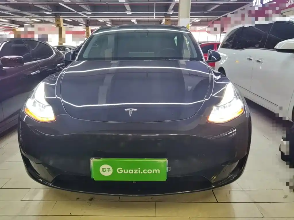 Tesla Model Y — миниатюра 3