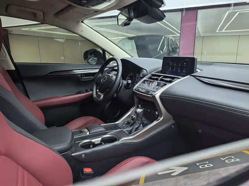 Lexus NX — миниатюра 28