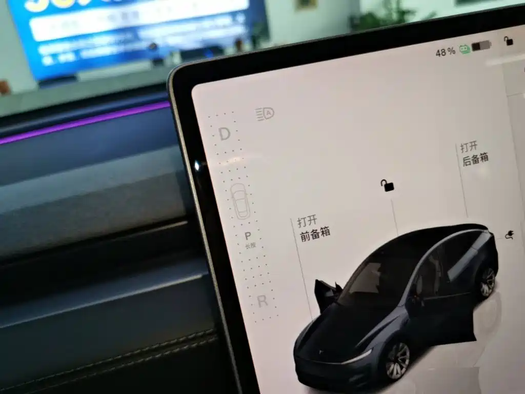 Tesla Model Y — миниатюра 14