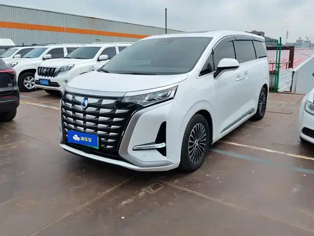 2023 Denza D9
