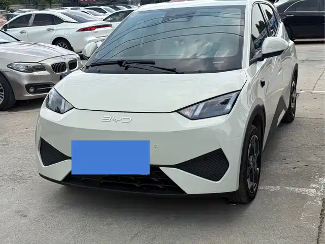 2025 BYD Seagull