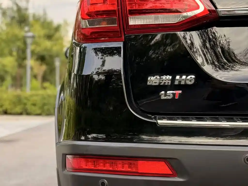 Haval H6 — миниатюра 10