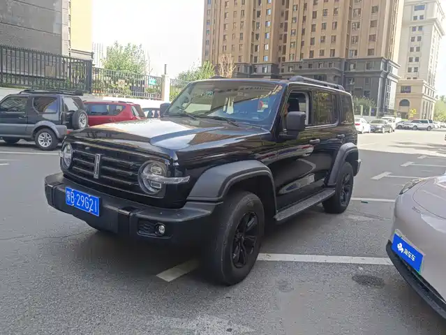 2021 TANK 300