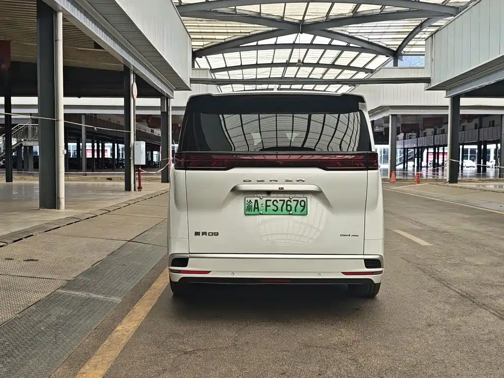 Denza Denza D9 — миниатюра 11