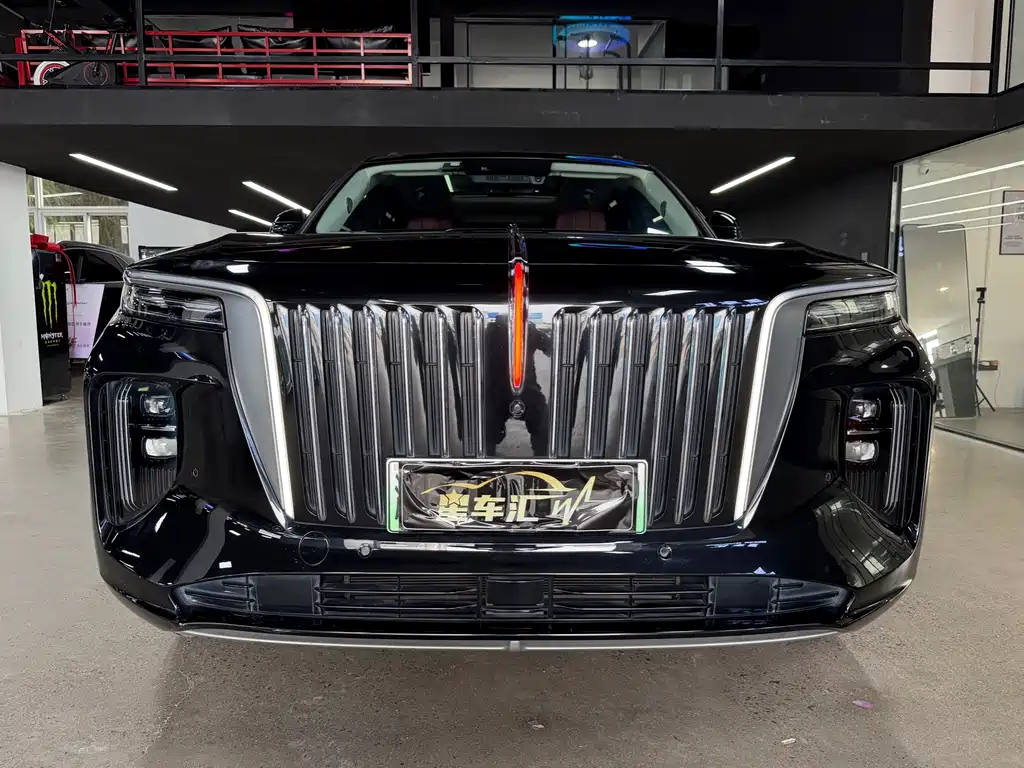Hongqi Hongqi E-HS9 — миниатюра 2