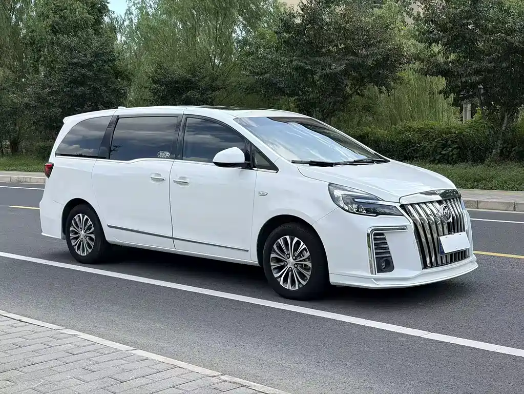 Buick GL8 — миниатюра 2