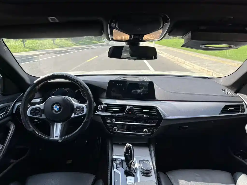 BMW 5 Series (Import) — миниатюра 13