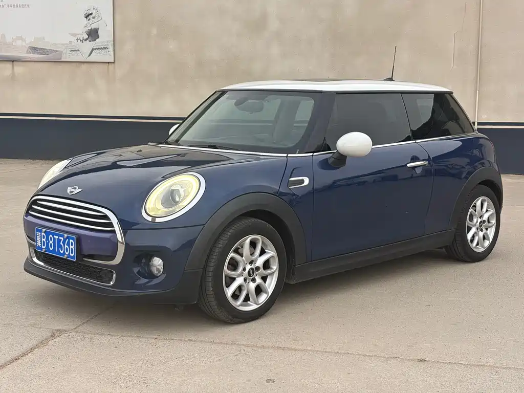 Mini Mini 2015