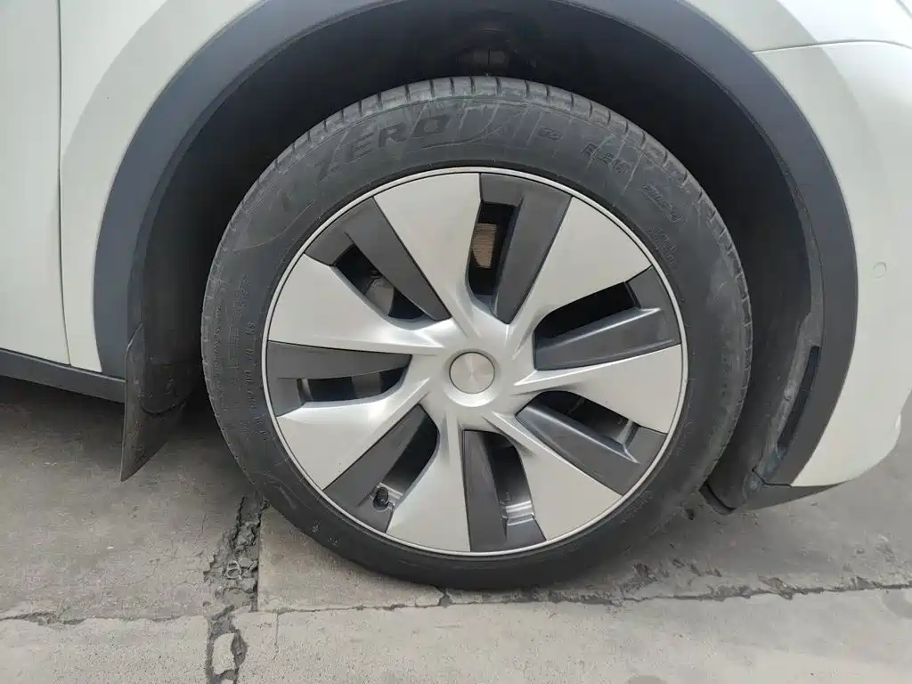 Tesla Model Y — миниатюра 24
