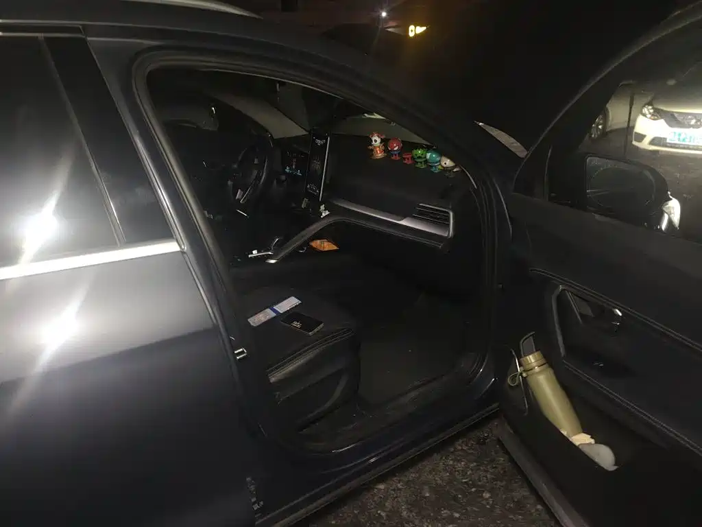 BYD Pro — миниатюра 19