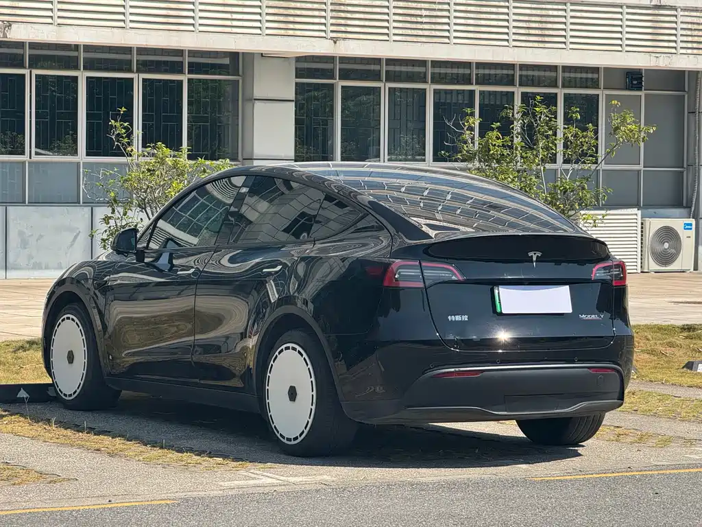 Tesla Model Y — миниатюра 12