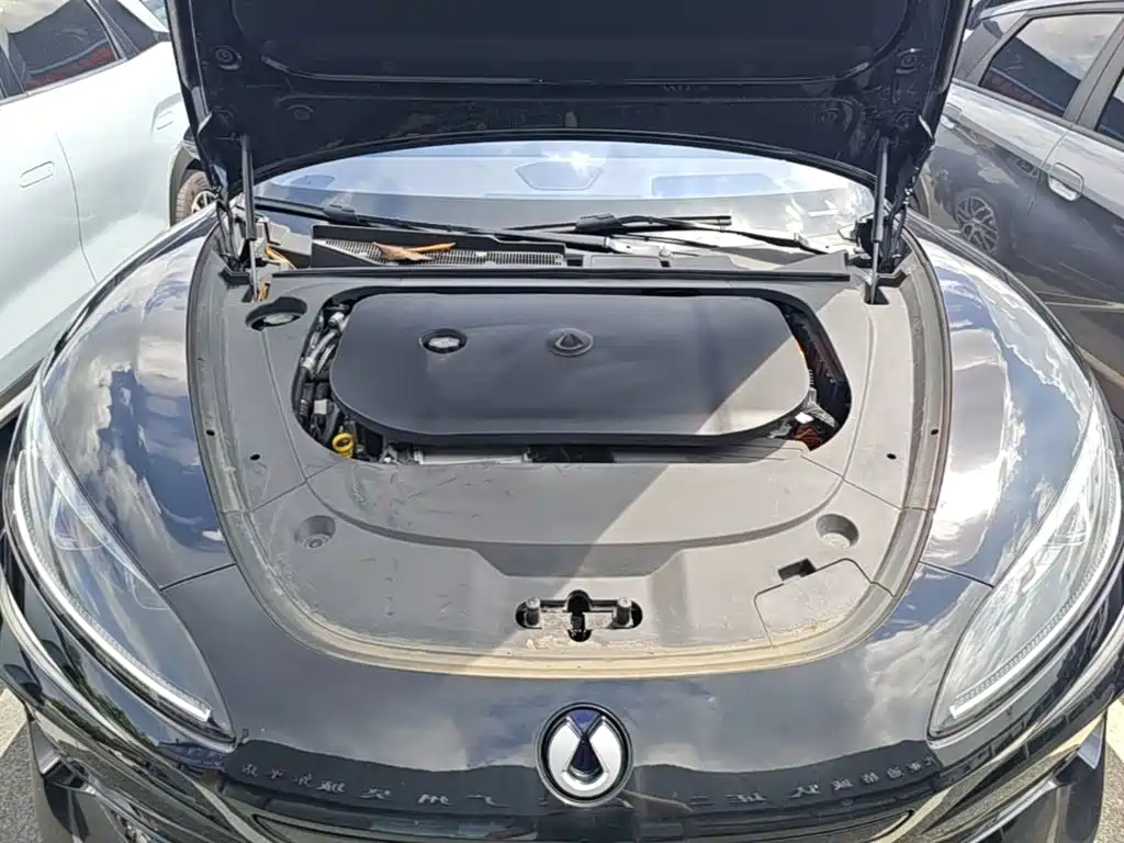 Denza Denza Z9 — миниатюра 20