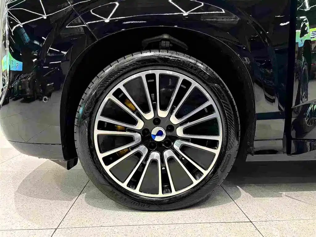 Denza Zoom N8L — миниатюра 19