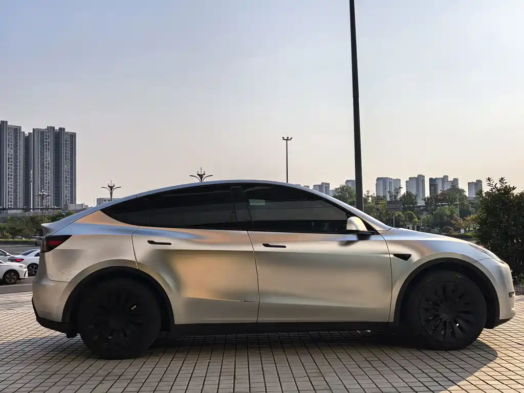 Tesla Model Y — миниатюра 4