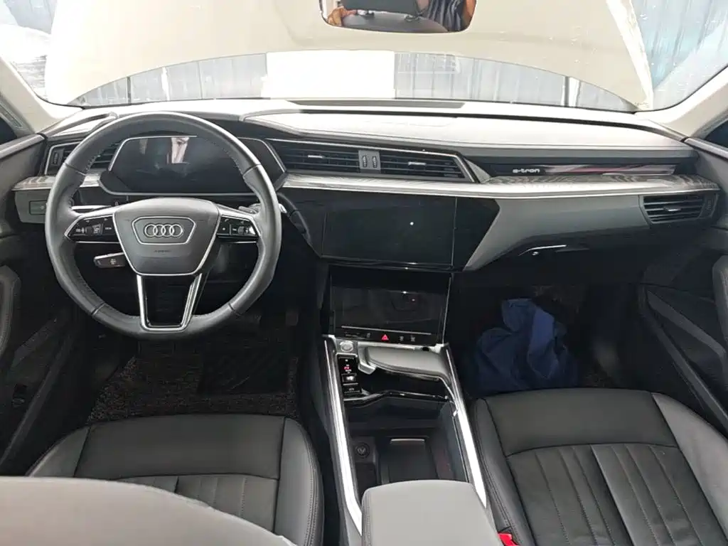 Audi e-tron (Import) — миниатюра 10