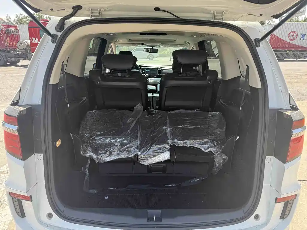 Honda Elysion — миниатюра 7