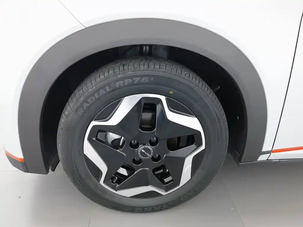 BYD Dolphin — миниатюра 17