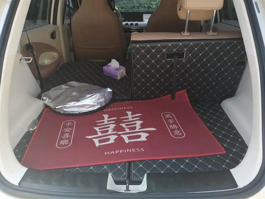 Wuling Binguo 2025 333km