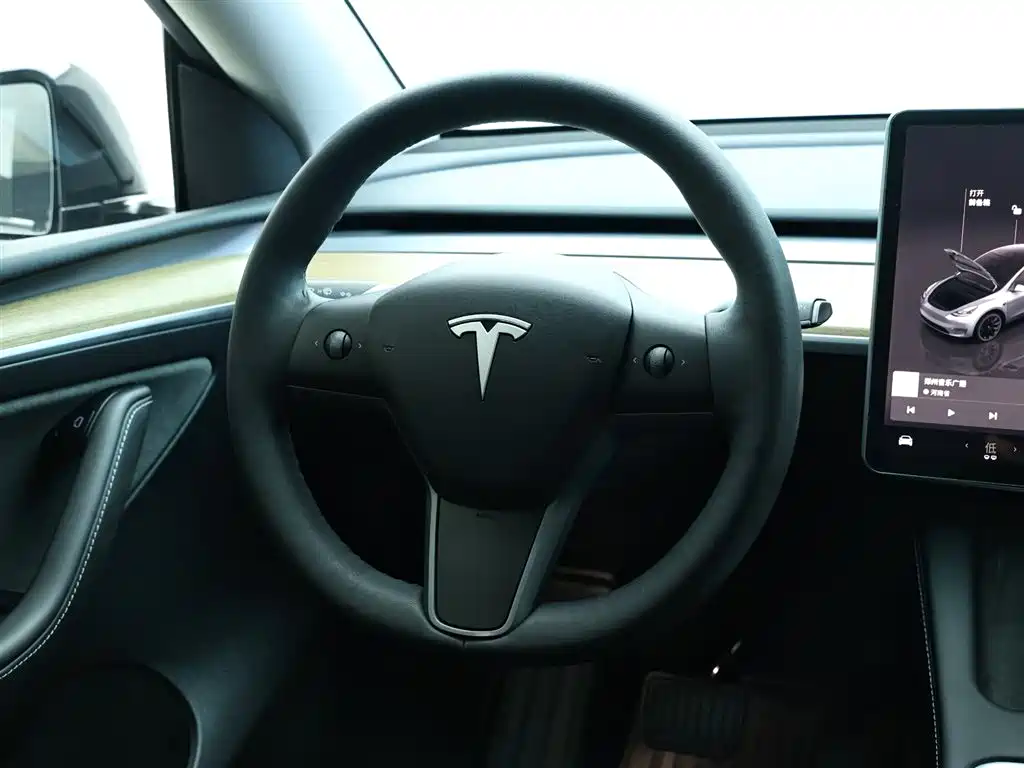 Tesla Model Y — фотографии объявления, Фото 17