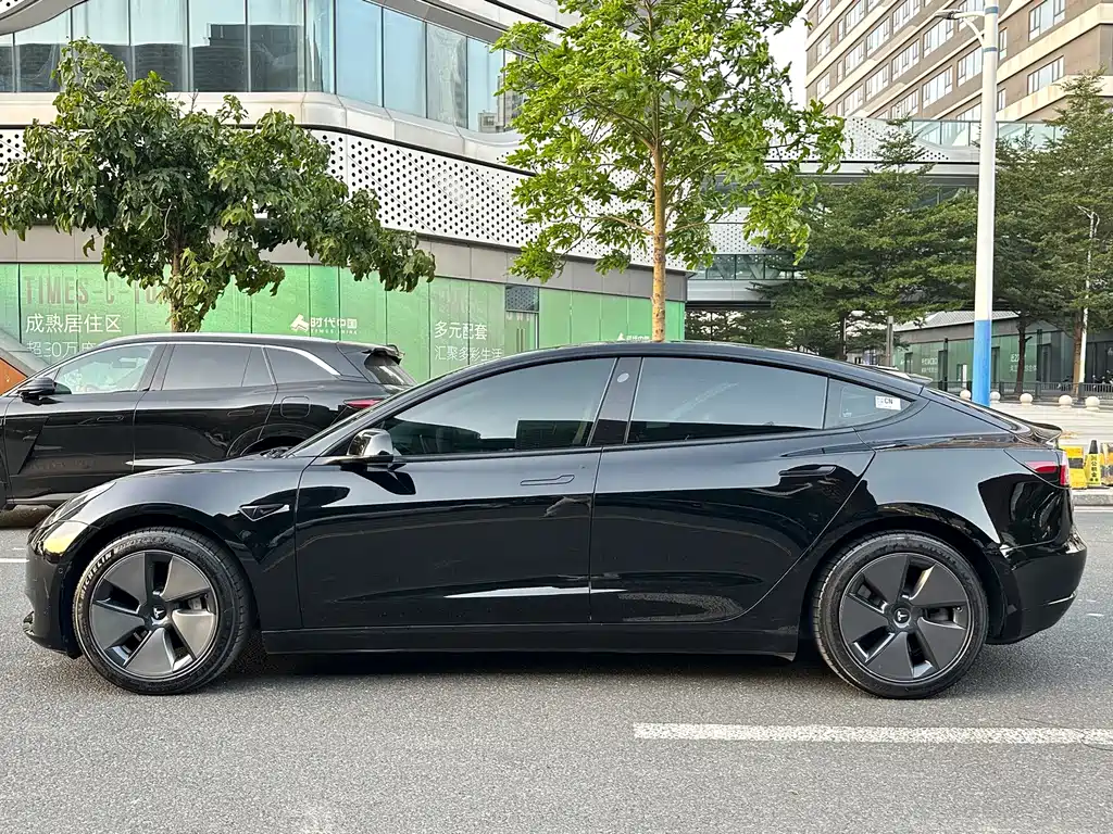 Tesla Model 3 — миниатюра 4