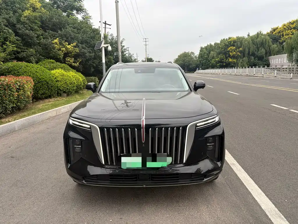 Hongqi Hongqi E-HS9 — миниатюра 2