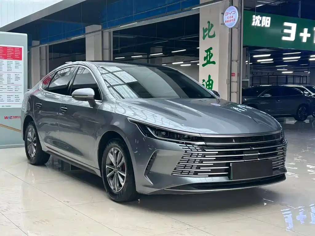 BYD Destroyer 05 2024 DM-i 55KM Luxury